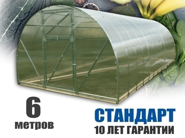 ТЕПЛИЦА 6 метров из поликарбоната SELLEX 4 мм СТАНДАРТ 